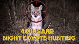 Understanding Coyote Behavior: Night Hunting Strategies and Wildlife Insights