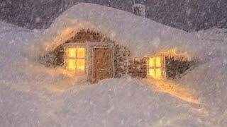 Frenzied Winter Storm Sounds & Blustering Snowstorm Squalls┇Rushing Arctic Storm Gusts for Sleeping