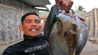 HUNT FOR DINNER | SIMPLENG ULAM PARA KAY CHAIRMAN #spearfishingPhilippines #gopro