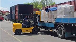 Customer Feedback: LTMG 3 Ton Diesel  Forklift With Japanese Engine Mitsubishi Isuzu As Optional