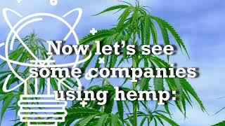 Hemp Innovations - Hempy People