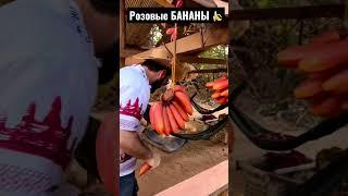 Как Растут Бананы и Как их едят в Камбоджа  #shorts #shortsvideo #shorts #путешествия #shorts