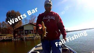 FALL FISHING!!! Tennessee River (Watts Bar)