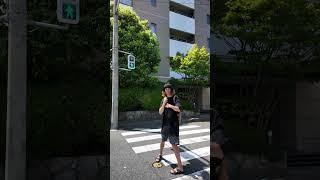 Pedestrian Crossing's Sounds in JAPAN