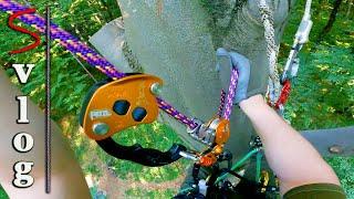 Tree Climbing: First Rope Walking with Petzl Chicane + ZigZag PLUS  (Silent Vlog)