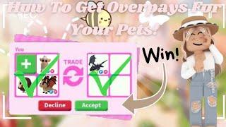 | How To Get Overpays In Adopt me (Tips and Tricks) |