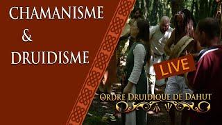 Le druidisme est-il du chamanisme ? - Live la Voix d'Ys