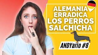 POLÉMICA en ALEMANIA (otra vez) por los PERROS SALCHICHA | ANDYario#8