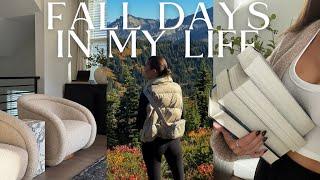 FALL DAYS | mt rainier hike, office refresh, skims haul + sept reads & ambient setup