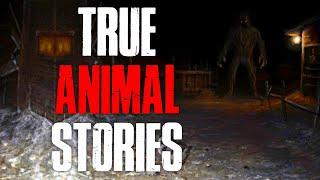 3 True Scary Animal Horror Stories