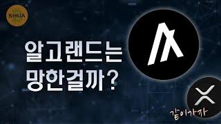 알고랜드 심층분석, 위기에 빠진 알고 XRP가 도와주자