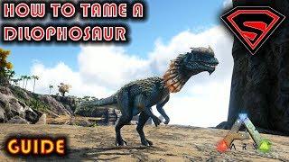 ARK HOW TO TAME A DILOPHOSAURUS 2019 - EVERYTHING YOU NEED TO KNOW ABOUT TAMING A DILOPHOSAURUS