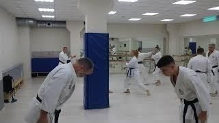 Kumite Shotokan Non-linear protection 1