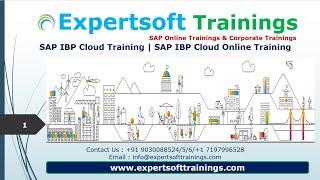 SAP IBP Training | SAP IBP Could Training | SAP IBP Cloud Online Training