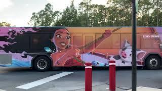 Check out all of the different character buses at Disney World