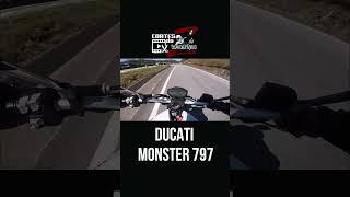 Cortes Rodolfinho da Z- DUCATI MONSTER 797