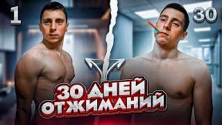 Отжимался по 300 РАЗ Через День