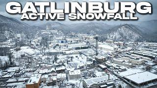 GATLINBURG, TN: Active Daytime Snowfall Blankets Gatlinburg & The Smoky Mountains 1/11/2025