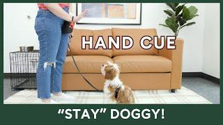 Teach Your Dog "STAY" [VIDEO 10/14]