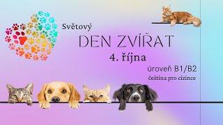  Světový den zvířat - čeština pro cizince (úroveň B1/B2) 