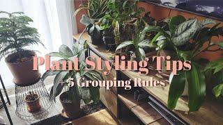 Top Plant Styling Tips for Your Home Decor | Plant Decor Rules