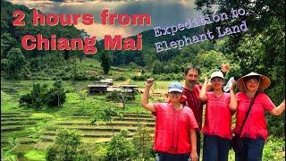 Best elephant sanctuary!  Great family activities in Chiangmai