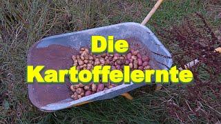 Rund um den Hof | Die Kartoffelernte