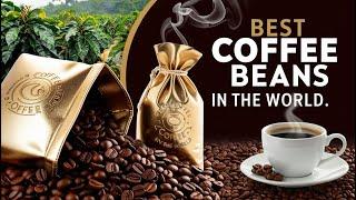 10 Best Coffee Beans in the World for 2024