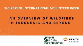 An overview of wildfires in Indonesia and beyond