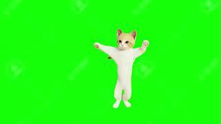 Green Screen Cat Meow | No Copyright | Green Screen Videos | Green Screen Cat | Free Download