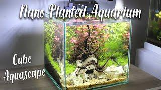 Nano Planted Aquarium -  CUBE Aquascape