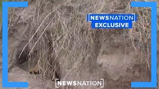 Inside hidden tunnels used by cartel to smuggle migrants | NewsNation Live