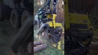 “Defying nature:Cutting tree with John deere harvester” #lumberjack #johndeere #forest #harvester