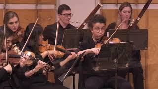 Dovie Lepore-Currin - 2019 Kaufman Music Center Concerto Competition Winners' Concert