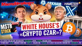 Трамп рассматривает роль ‘Крипто-Царя’, акции MicroStrategy на 600%, BTC бьет рекорд ️ Hamster News