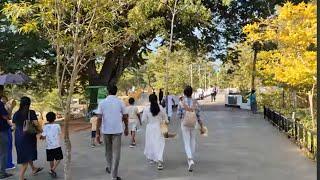 Trip to Kataragama, Sri Lanka  | අපේ කතරගම Trip එක