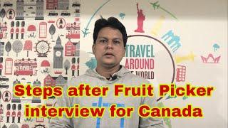 Steps to follow after Fruit Picker interview for Canada || Full Process for Fruit Picker Selection