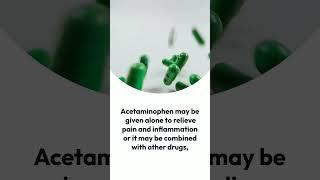 Acetaminophen #medicaleducation #shorts #medicine