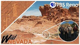 Exploring Gold Butte | Wild Nevada