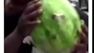 WALMART KID COMING OUT OF A WATERMELON - FATBOY SSE MEME