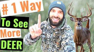 Best Way to Find and See More Deer.  I Promise