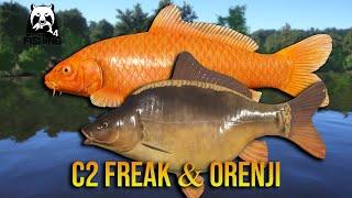 C2 SuperFreak and Orenji Ogon at Copper Lake - Russian Fishing 4