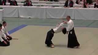 Mysterious Aikido in Japan