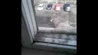 Сундук знаний.