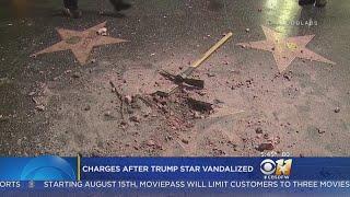 California Man Accused Of Vandalizing Trump's Hollywood Star