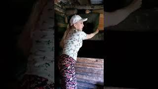 Снесла курочка яичко