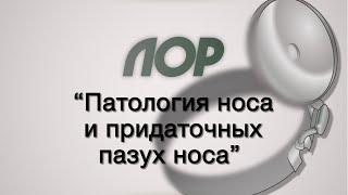 Оториноларингология №4 "Патология носа и придаточных пазух"