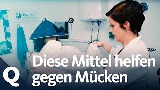 Test: Welcher Mückenschutz hilft am besten? | Quarks