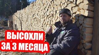 ВСЁ о заготовке дров в ОДНОМ ВИДЕО! От распиловки бревна до сухого полена