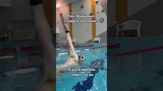 КАК ПЛАВАТЬ НА СПИНЕ?                    Посмотри советы в ролике! Больше в https://t.me/swimserafim